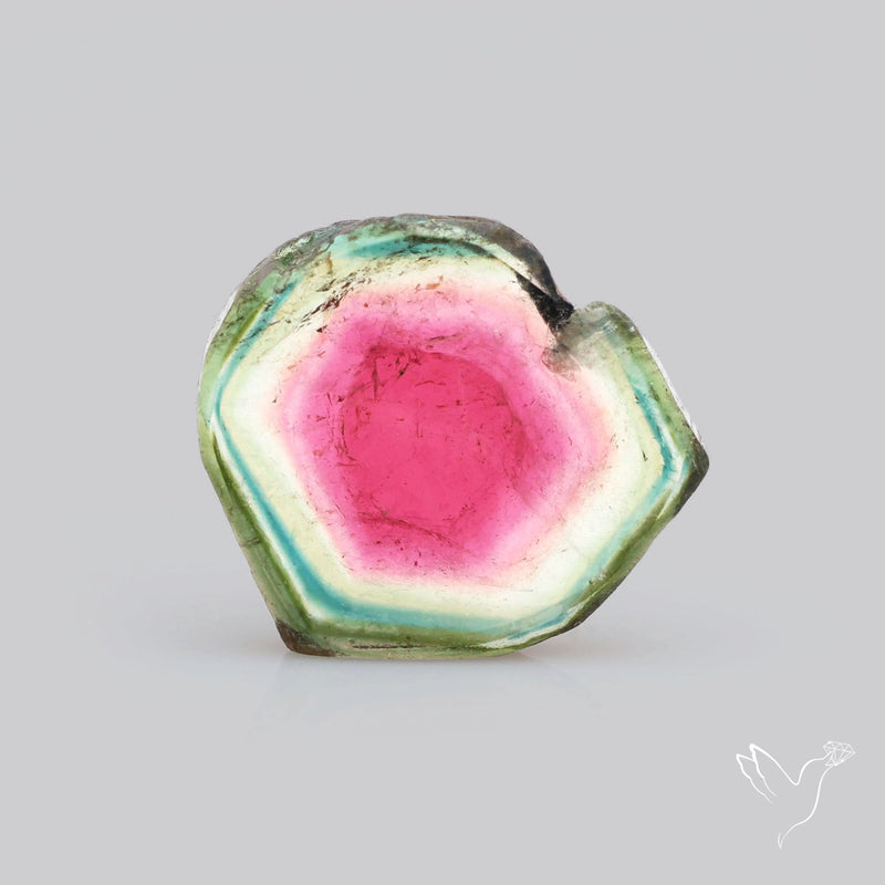Watermelon Tourmaline Slice Rare Perfect Green Border-