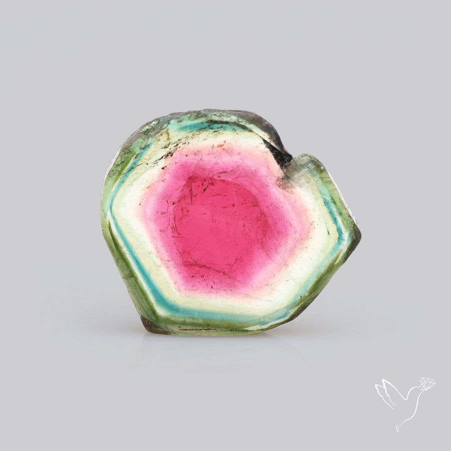 Watermelon Tourmaline Slice Rare Perfect Green Border-