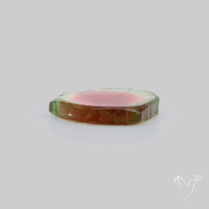 Watermelon Tourmaline Slice Rare Perfect Green Border-