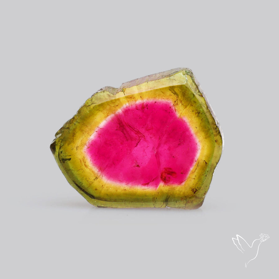 Watermelon Tourmaline Slice Rare Perfect Green Border