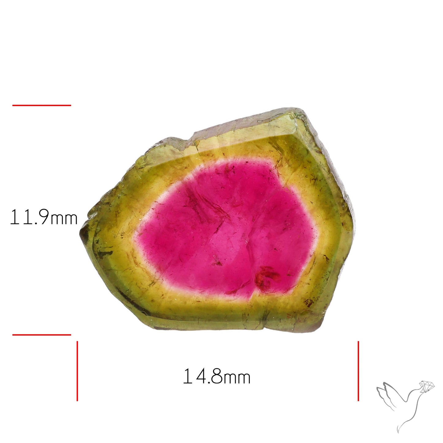 Watermelon Tourmaline Slice Rare Perfect Green Border