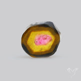 Watermelon Tourmaline Slice Rare Perfect Green Border