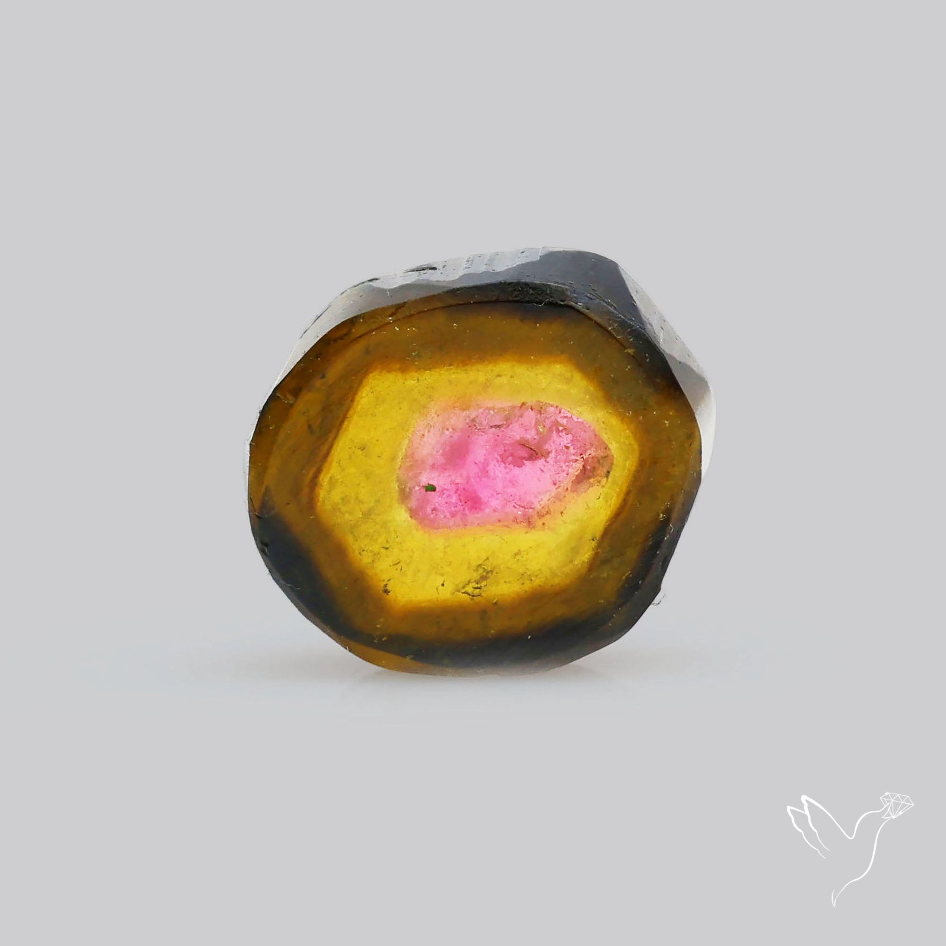 Watermelon Tourmaline Slice Rare Perfect Green Border