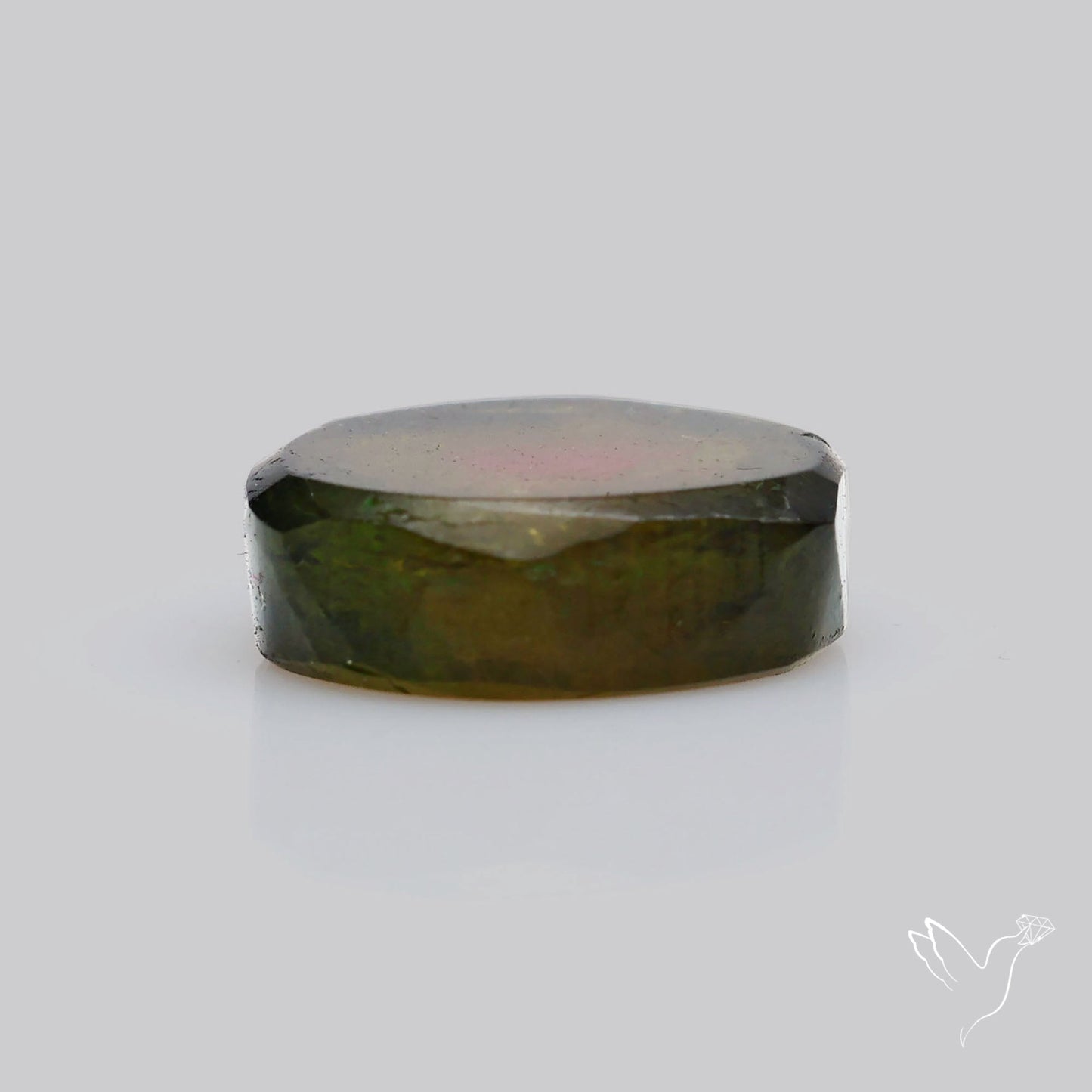 Watermelon Tourmaline Slice Rare Perfect Green Border