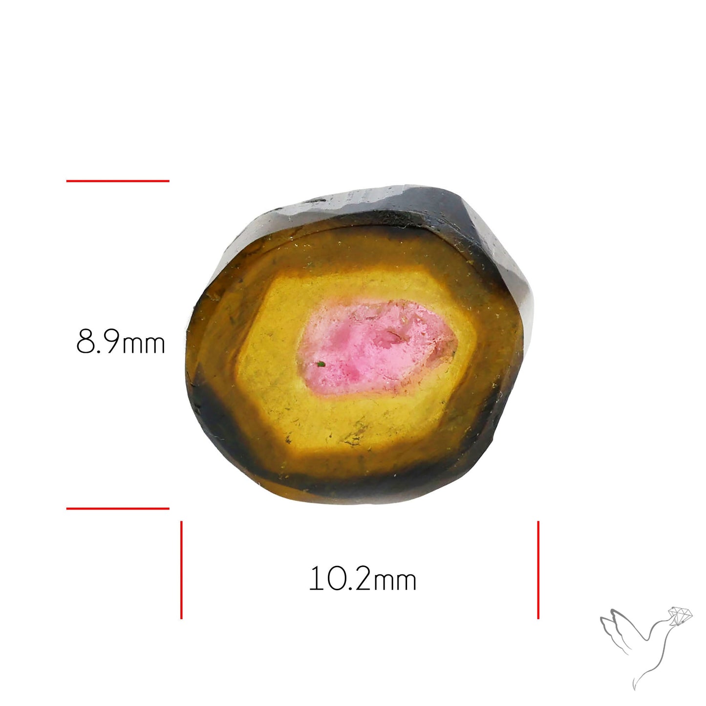 Watermelon Tourmaline Slice Rare Perfect Green Border