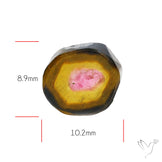 Watermelon Tourmaline Slice Rare Perfect Green Border