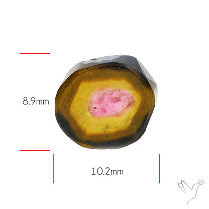 Watermelon Tourmaline Slice Rare Perfect Green Border