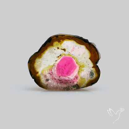 Watermelon Tourmaline Slice Rare Perfect Green Border