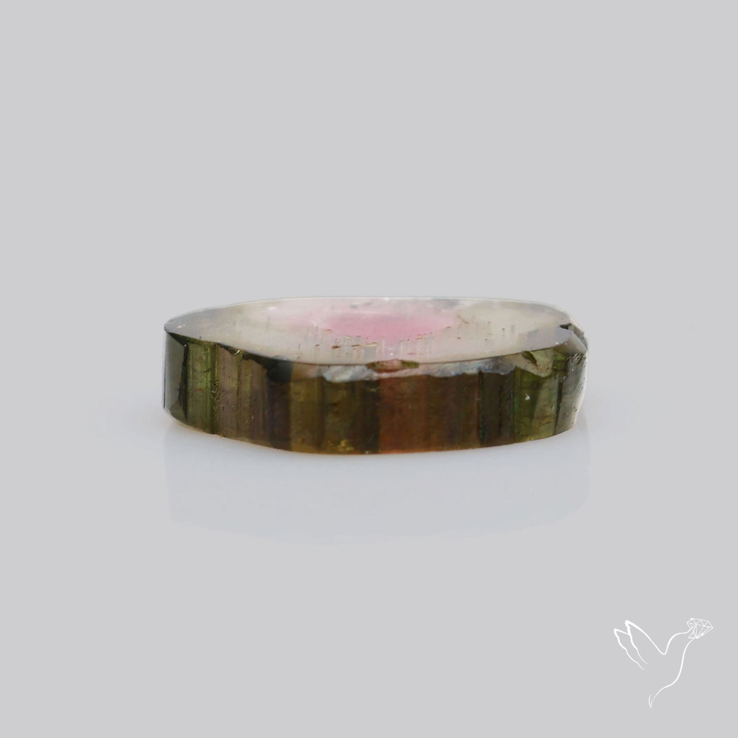 Watermelon Tourmaline Slice Rare Perfect Green Border