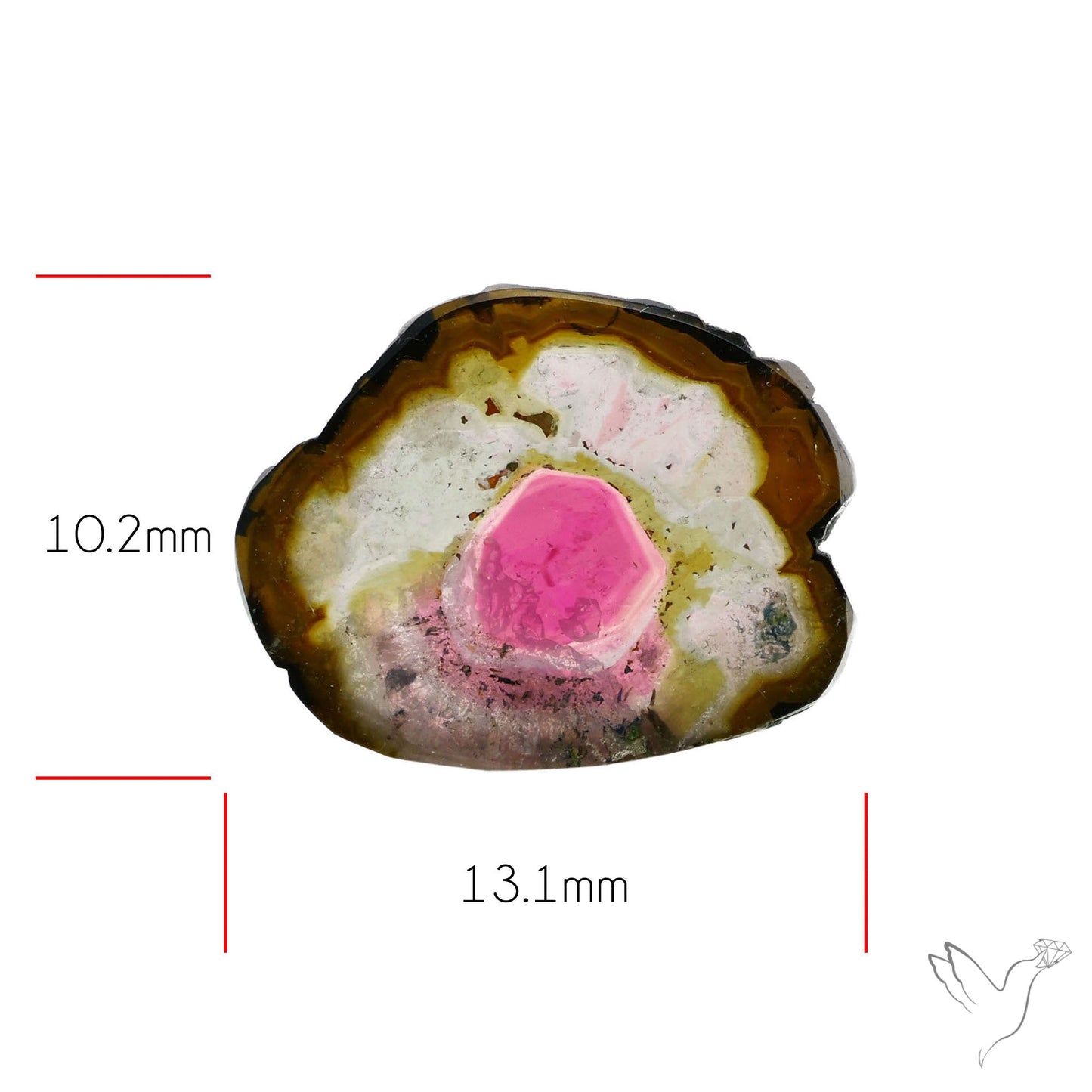 Watermelon Tourmaline Slice Rare Perfect Green Border