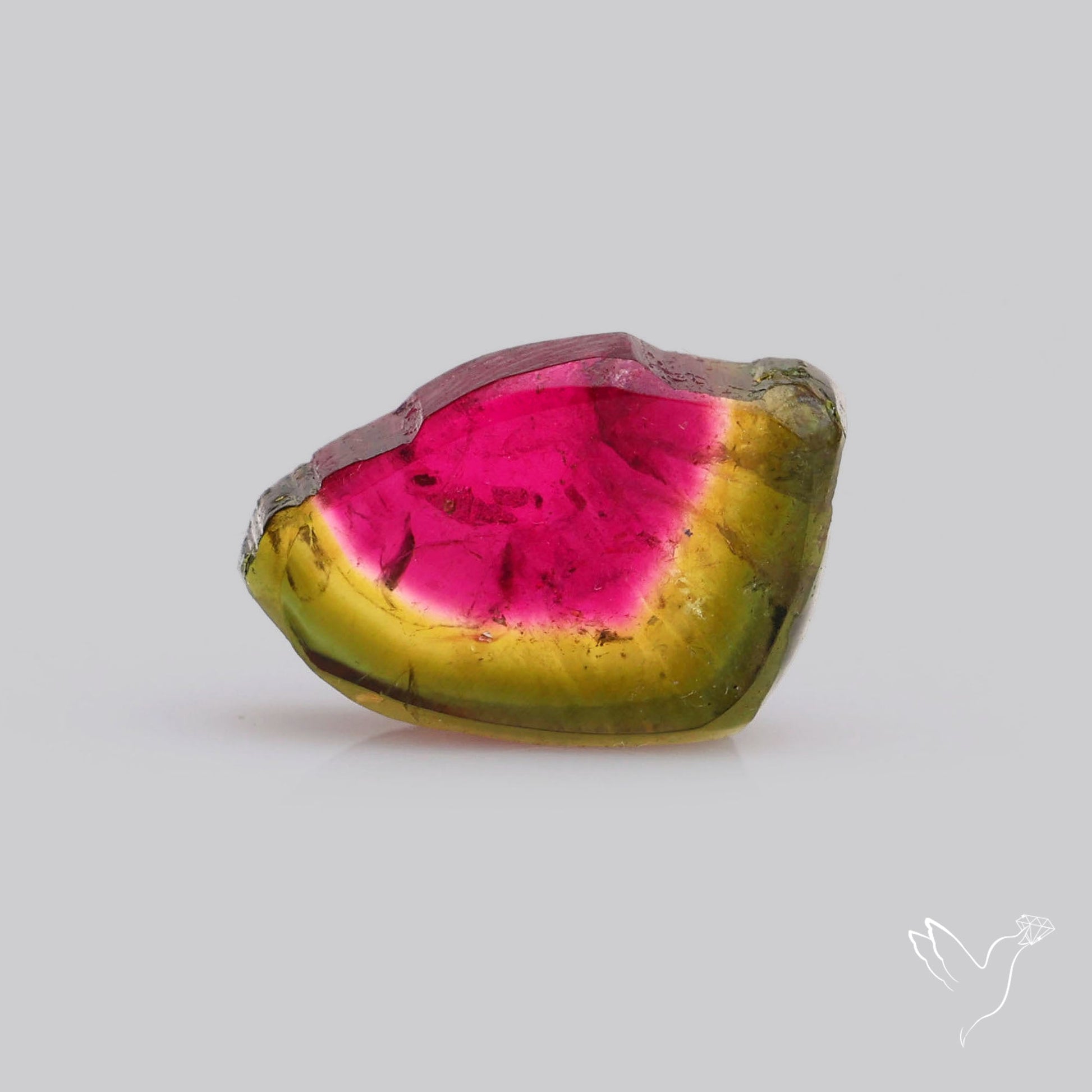 Watermelon Tourmaline Slice Rare