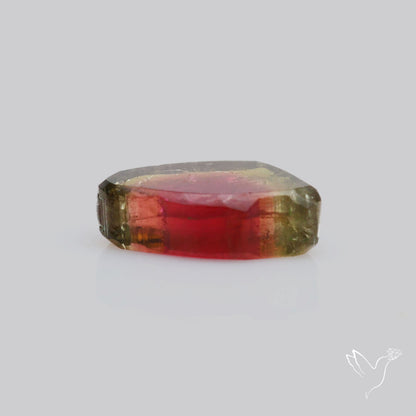 Watermelon Tourmaline Slice Rare