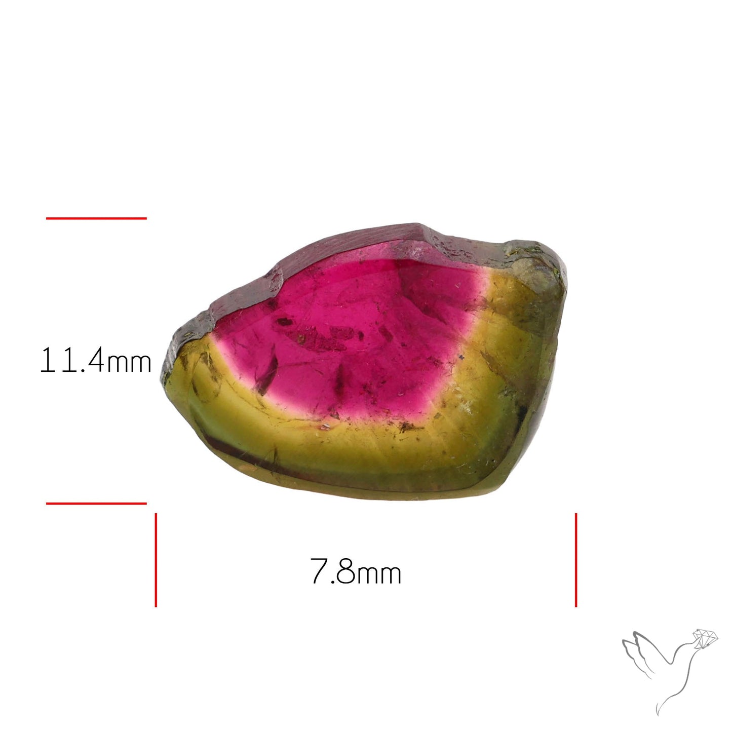 Watermelon Tourmaline Slice Rare