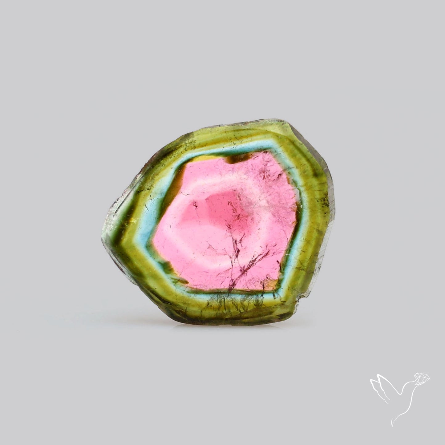 Watermelon Tourmaline Slice Rare Perfect Green Border