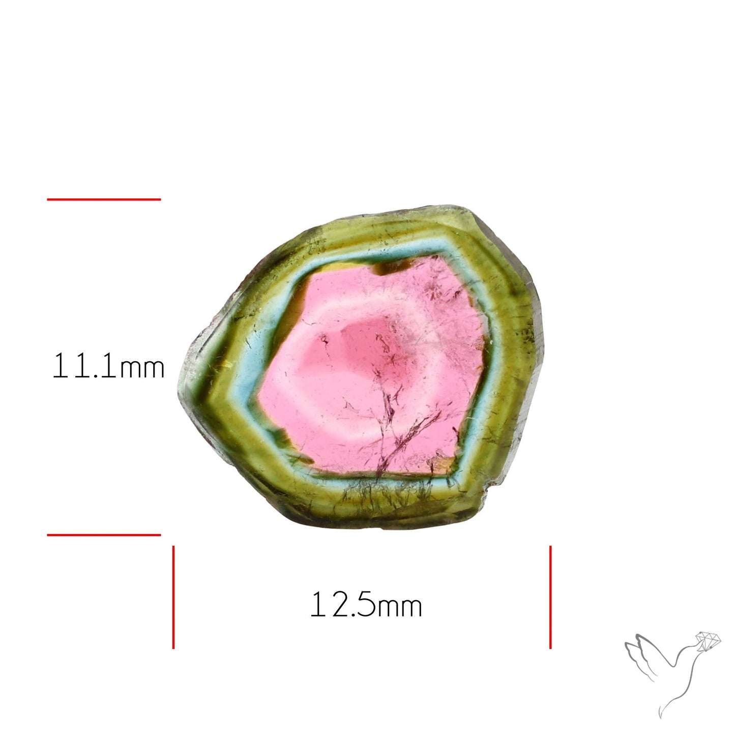 Watermelon Tourmaline Slice Rare Perfect Green Border