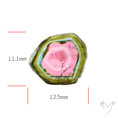Watermelon Tourmaline Slice Rare Perfect Green Border