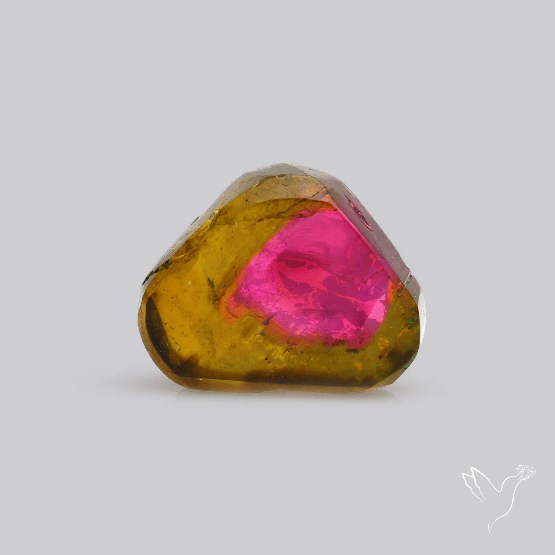 Watermelon Tourmaline Slice Rare