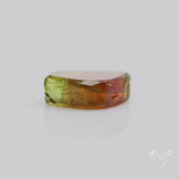 Watermelon Tourmaline Slice Rare