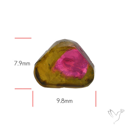 Watermelon Tourmaline Slice Rare