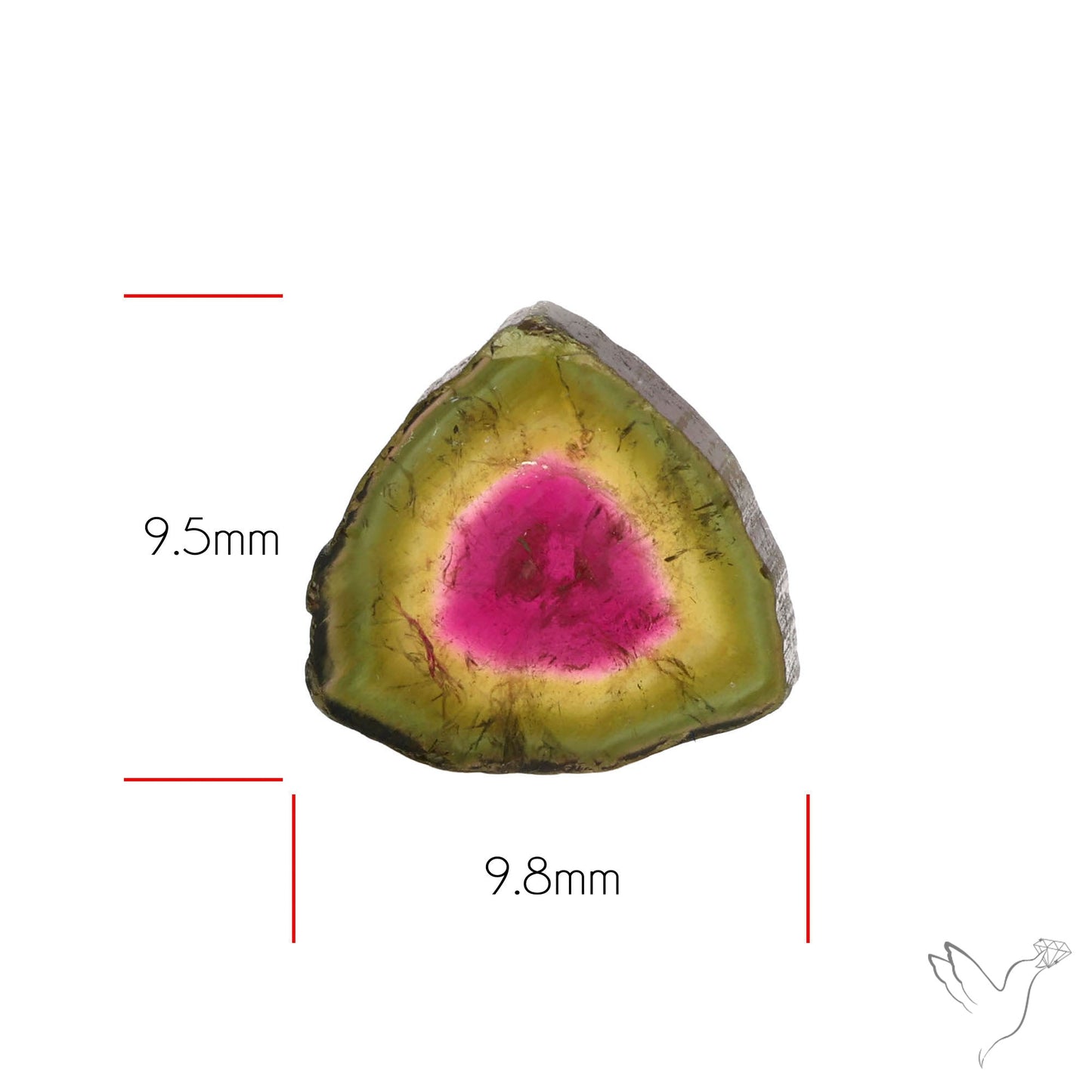 Watermelon Tourmaline Slice Rare Perfect Green Border