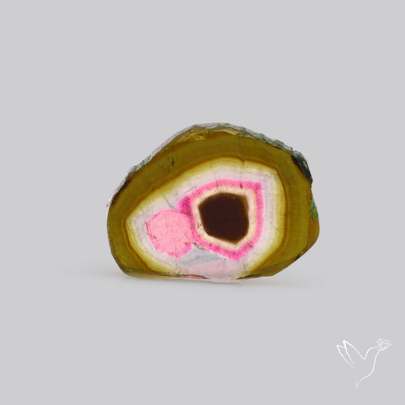 Watermelon Tourmaline Slice Rare Perfect Green Border