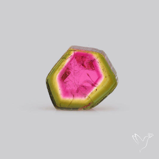 Watermelon Tourmaline Slice Rare Perfect Green Border