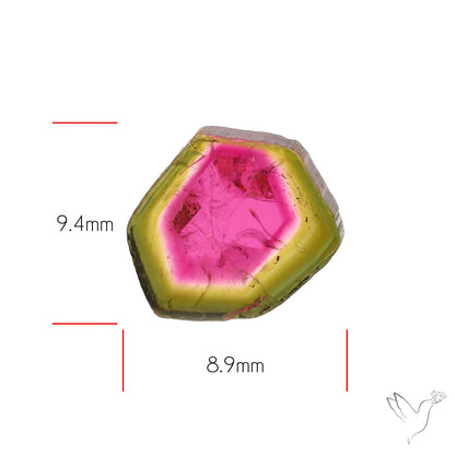 Watermelon Tourmaline Slice Rare Perfect Green Border