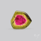 Watermelon Tourmaline Slice Rare Perfect Green Border