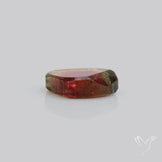 Watermelon Tourmaline Slice Rare Perfect Green Border