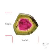 Watermelon Tourmaline Slice Rare Perfect Green Border