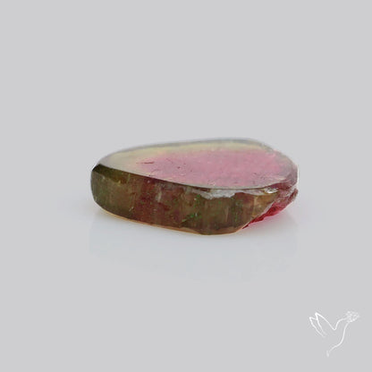Watermelon Tourmaline Slice Rare Perfect Green Border