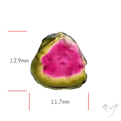 Watermelon Tourmaline Slice Rare Perfect Green Border