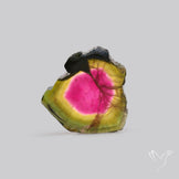 Watermelon Tourmaline Slice Rare Perfect Green Border