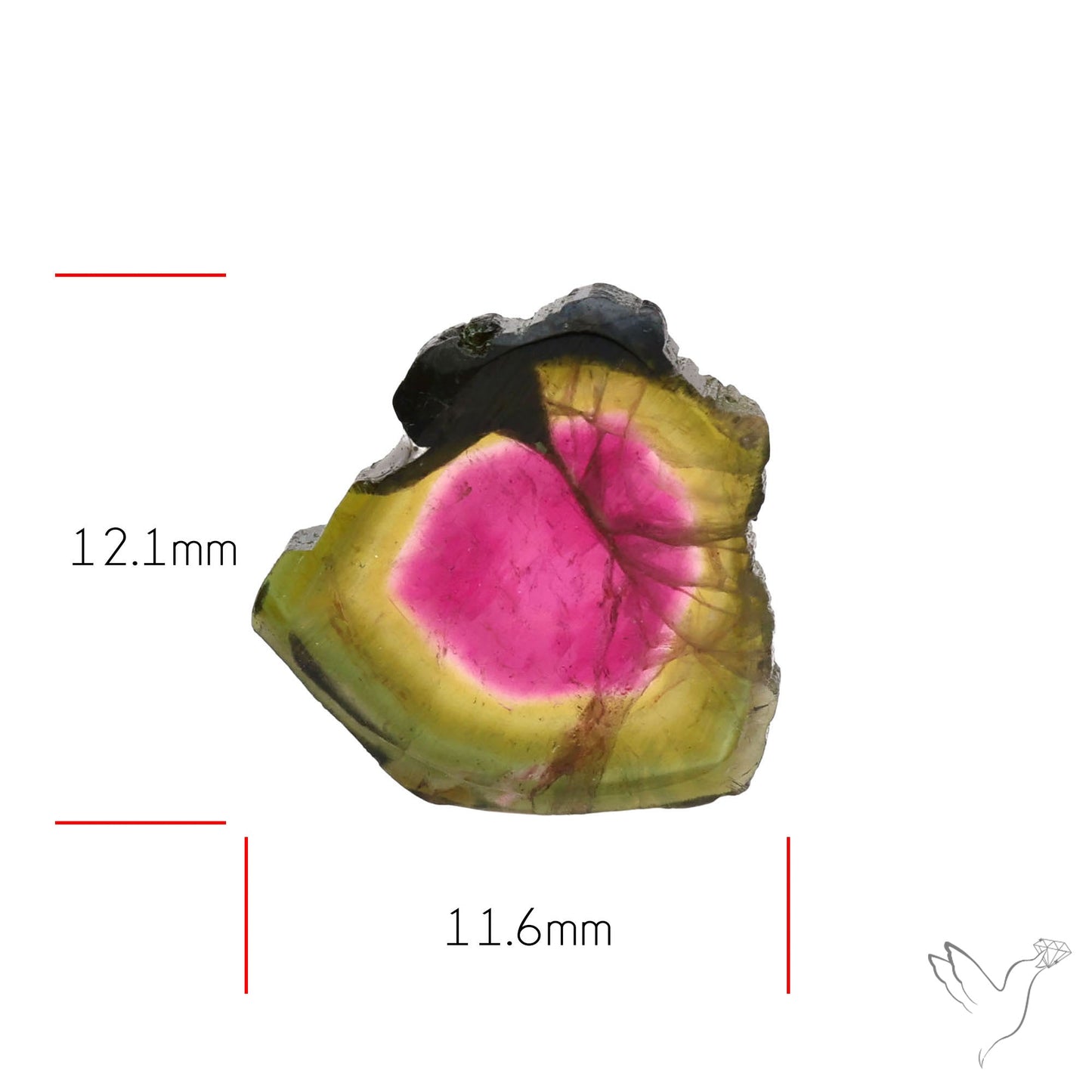 Watermelon Tourmaline Slice Rare Perfect Green Border