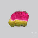 Watermelon Tourmaline Slice Rare
