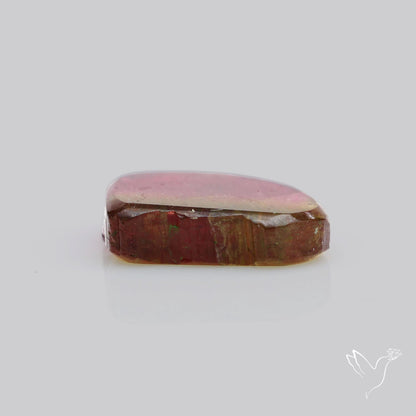 Watermelon Tourmaline Slice Rare