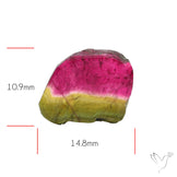 Watermelon Tourmaline Slice Rare