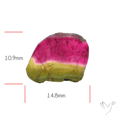 Watermelon Tourmaline Slice Rare