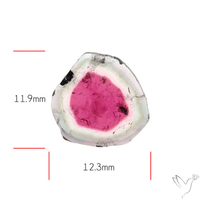 Watermelon Tourmaline Slice Rare Perfect Green Border