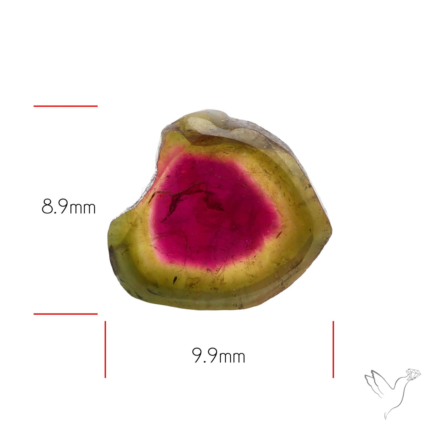 Watermelon Tourmaline Slice Rare Perfect Green Border