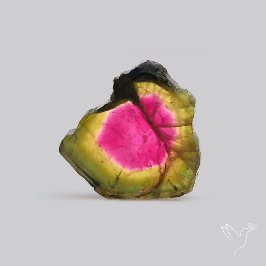 Watermelon Tourmaline Slice Rare Perfect Green Border