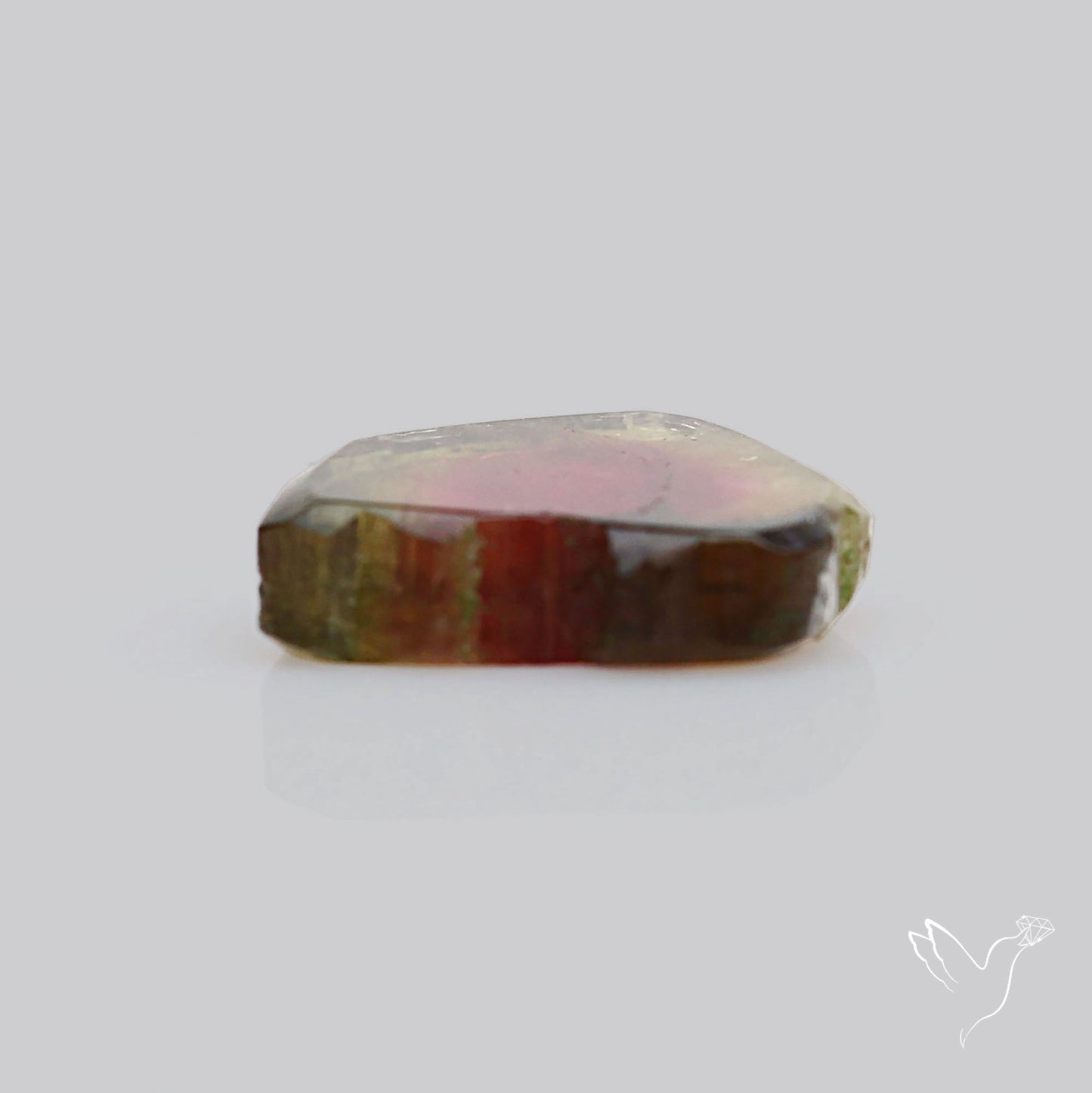Watermelon Tourmaline Slice Rare Perfect Green Border