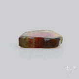 Watermelon Tourmaline Slice Rare Perfect Green Border