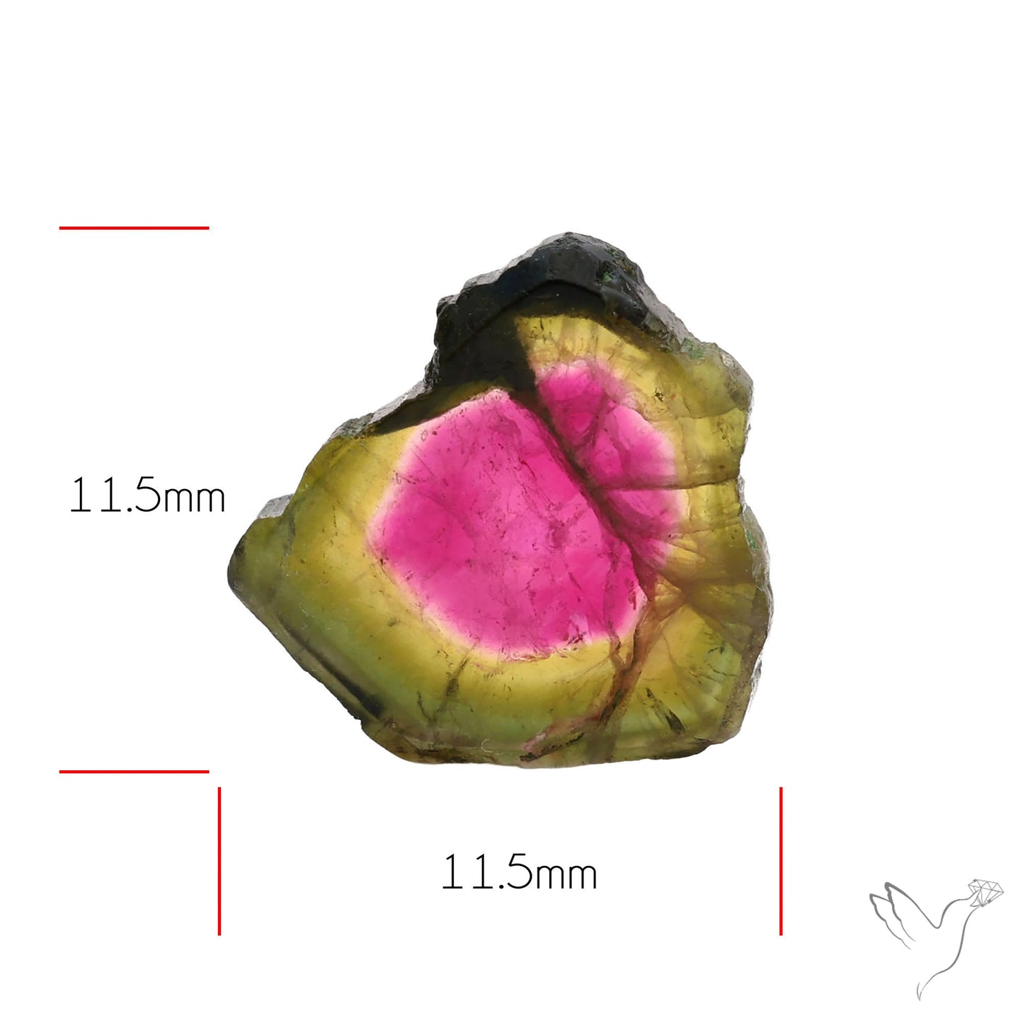 Watermelon Tourmaline Slice Rare Perfect Green Border