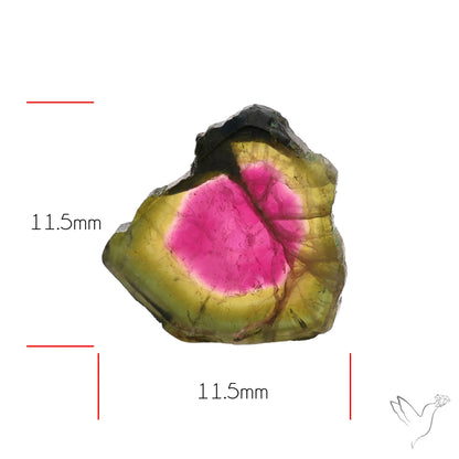 Watermelon Tourmaline Slice Rare Perfect Green Border