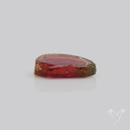 Watermelon Tourmaline Slice Rare