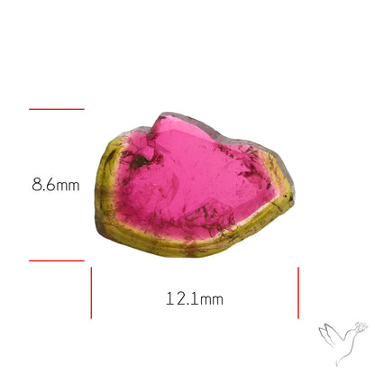 Watermelon Tourmaline Slice Rare