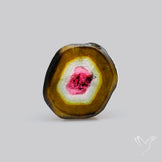 Watermelon Tourmaline Slice Rare Perfect Green Border