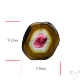 Watermelon Tourmaline Slice Rare Perfect Green Border