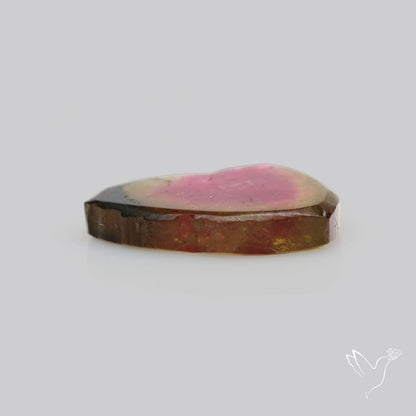 Watermelon Tourmaline Slice Rare
